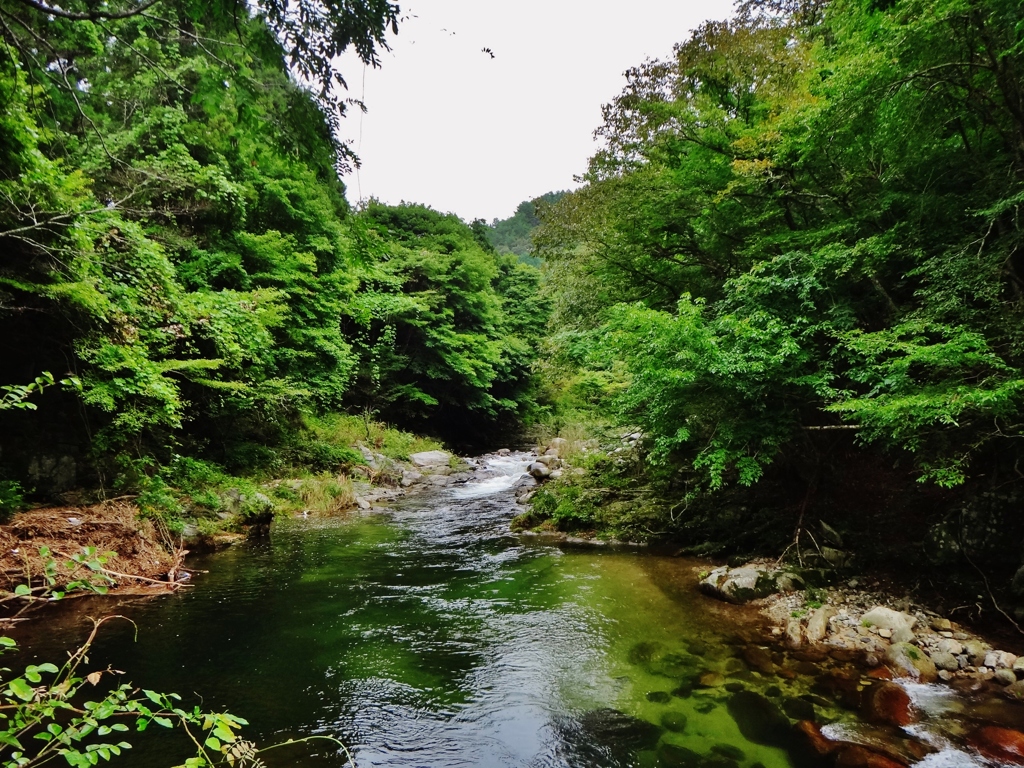 第三千三百六十七作　「少し褪せて　樹々の葉も　映す水面も」　福島県浪江