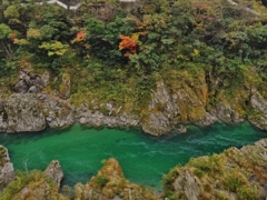 第千二百四十作　　「秋さずい　しとしと降らせて　沢へと還へる」　徳島県大歩危　