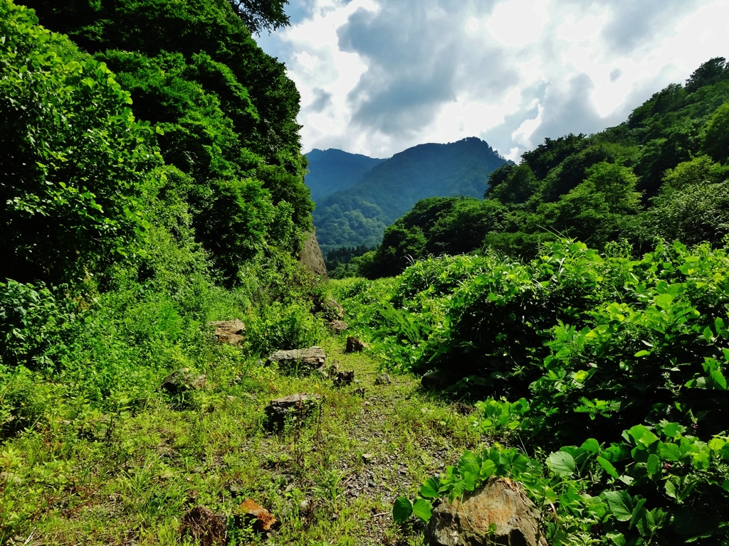 第七百九十七作　　「道荒れ果てて　石ころばかり　草と萌える」　新潟県青海川　