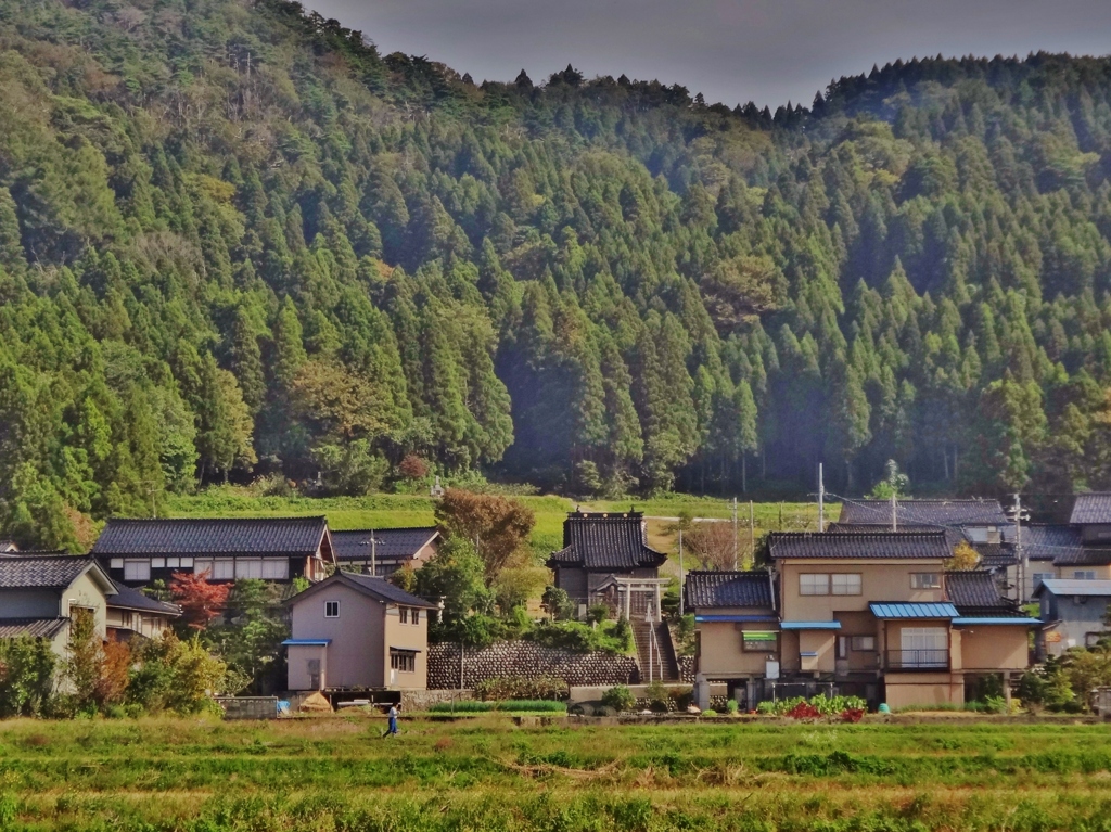 第千九百十作　　「田んぼ刈り終へて　鎮守様ひつそり」　富山県入善