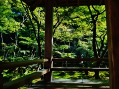 第四千百六作　「さておき生かされてはゐる　風の音　虫の音」　福岡県大宰府