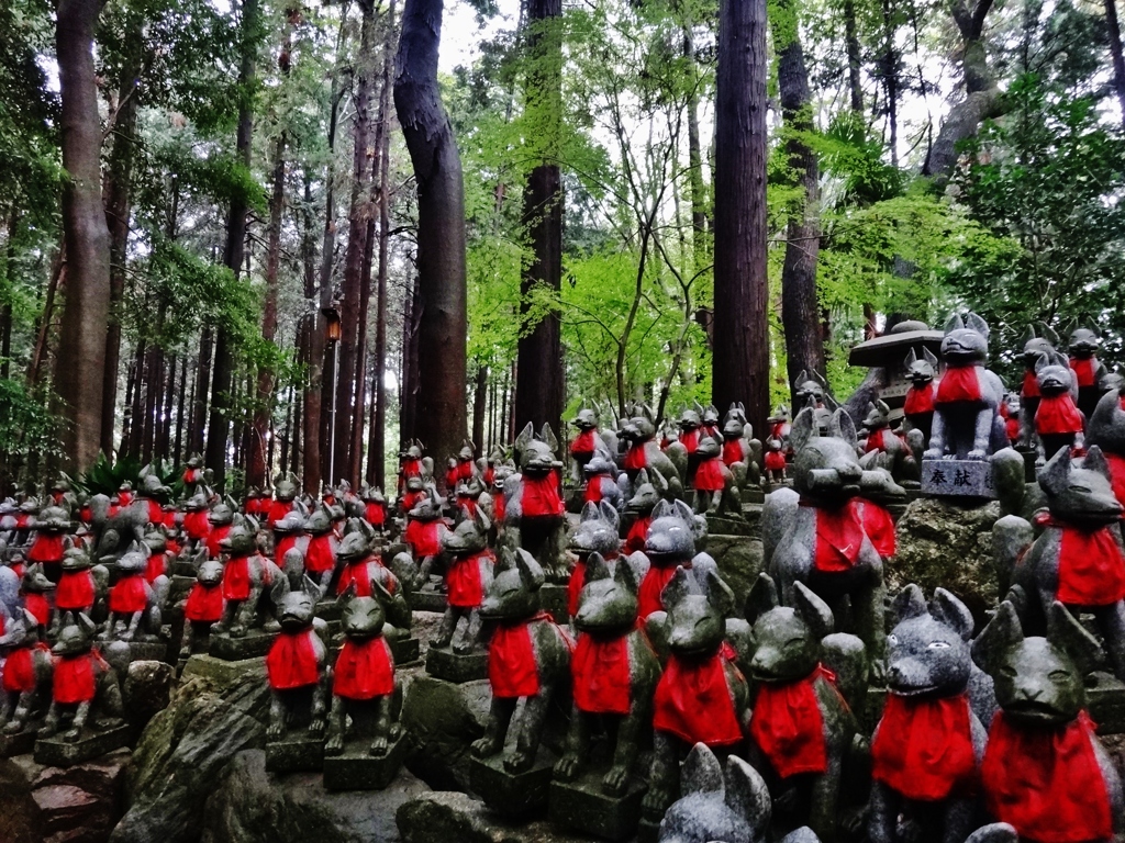 第千二百一作　　「雨がふります　おきつね雨の　おきつね詣で」　愛知県豊川