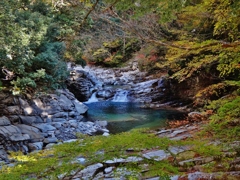 第千九百三十八作　　「木の葉流るる　その水は澄みきつてゐる」　愛媛県面河