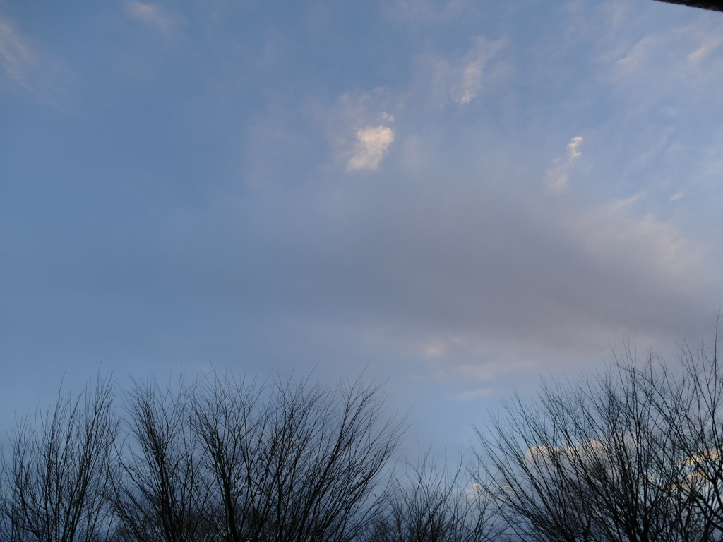 冬の空