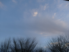 冬の空