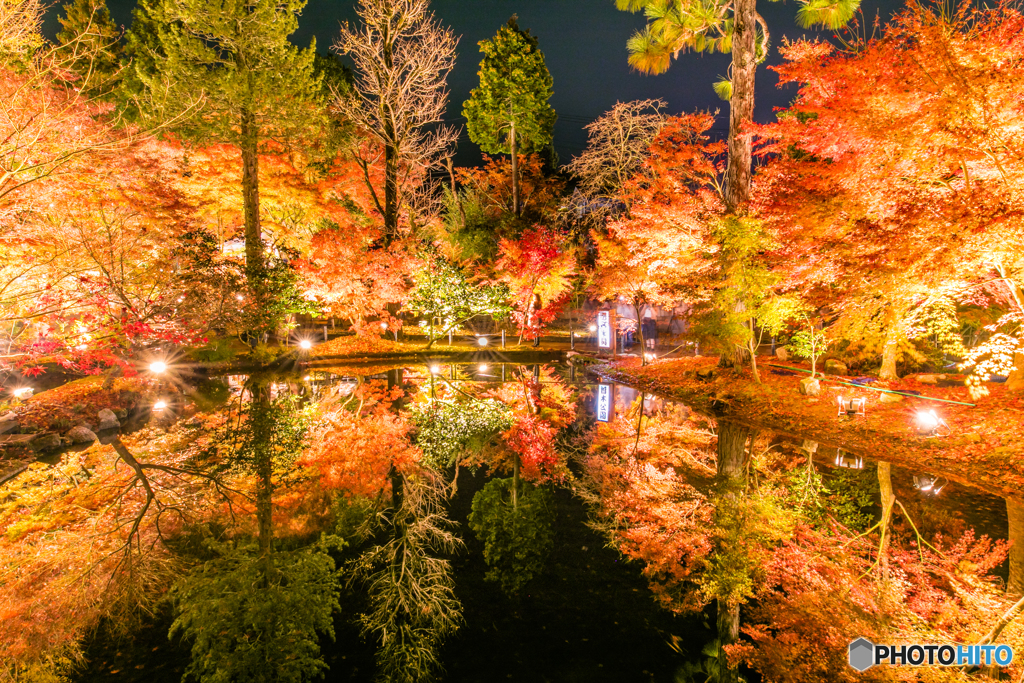 曽木公園の秋