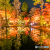 曽木公園の秋