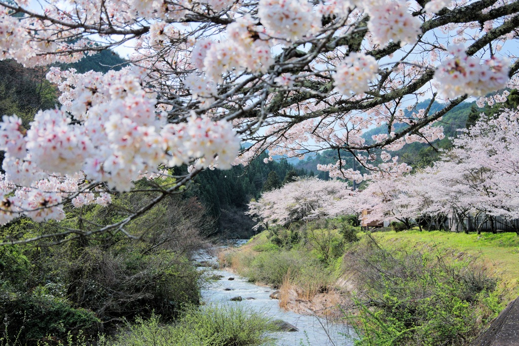 いざ渓流へ…