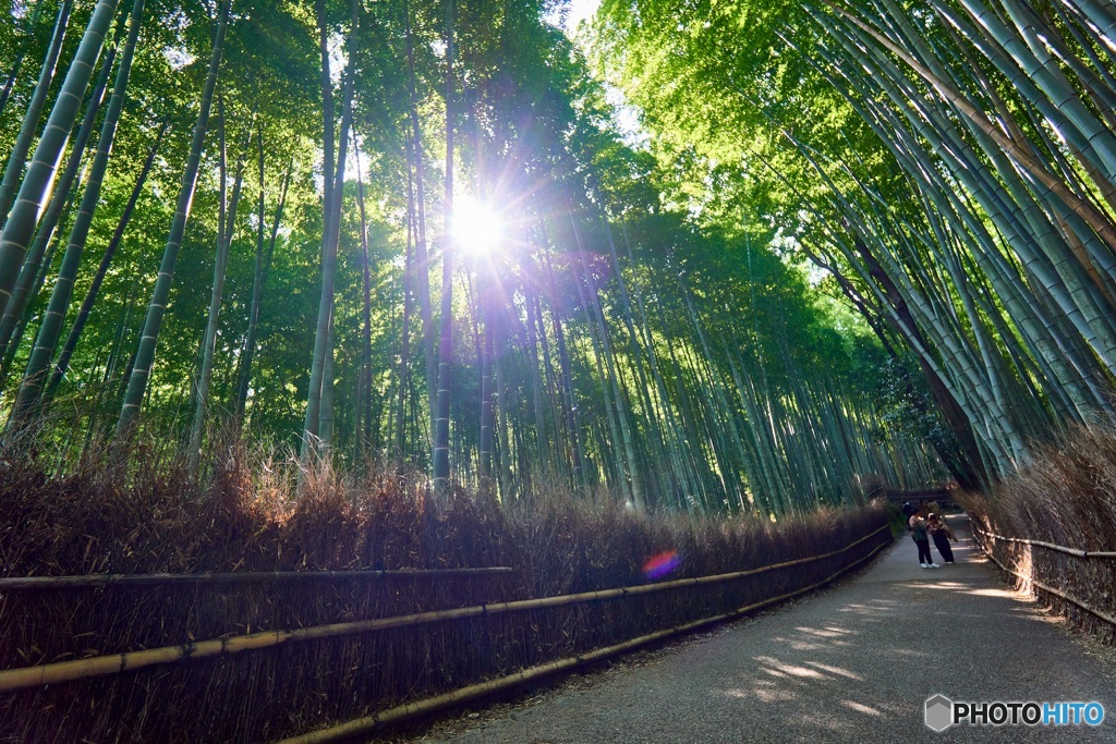 京都