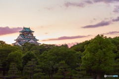 the castle of Osaka