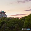 the castle of Osaka