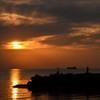 DSC_4681 (2)
