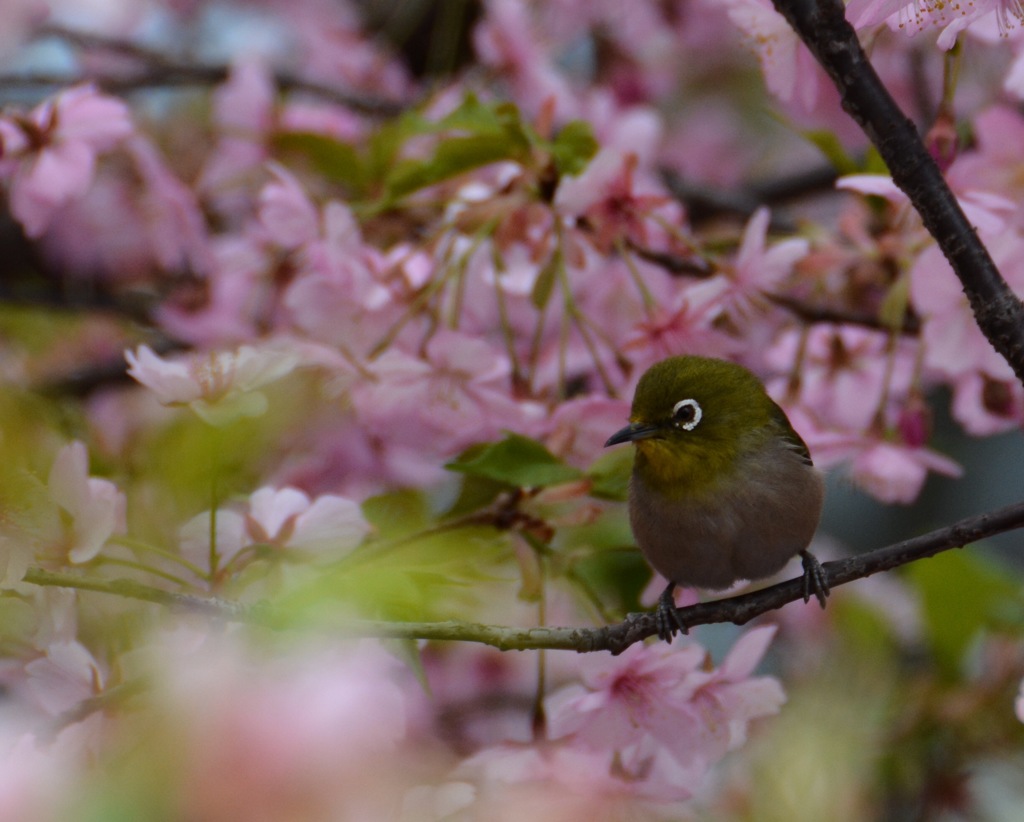 天気が悪いね〜(´･_･`)