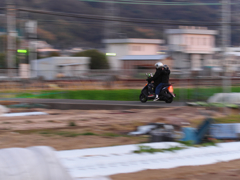 Rider