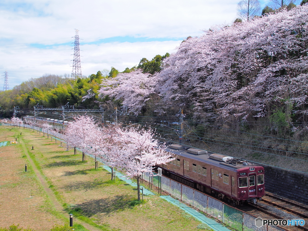 阪急千里線・春景色