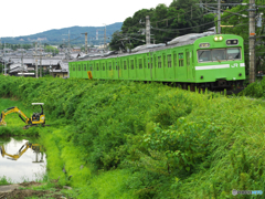 ウグイス駆け抜ける