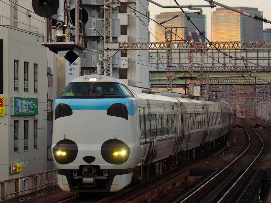 夕暮れパンダ
