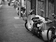 カブのある路地