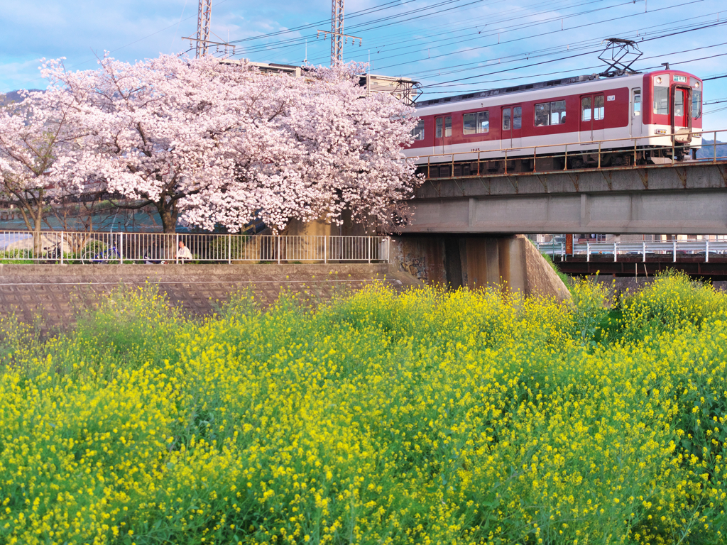 春の小川 Ⅲ