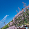 2019・マルーンの春 Ⅳ