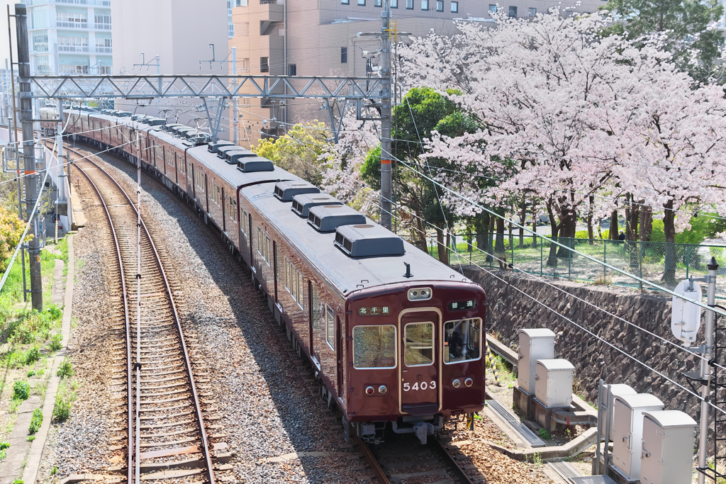 2021・マルーンの春 Ⅲ