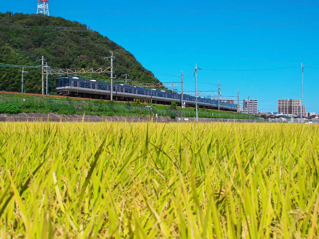 ところで、いったい何が「新」しいんだ？