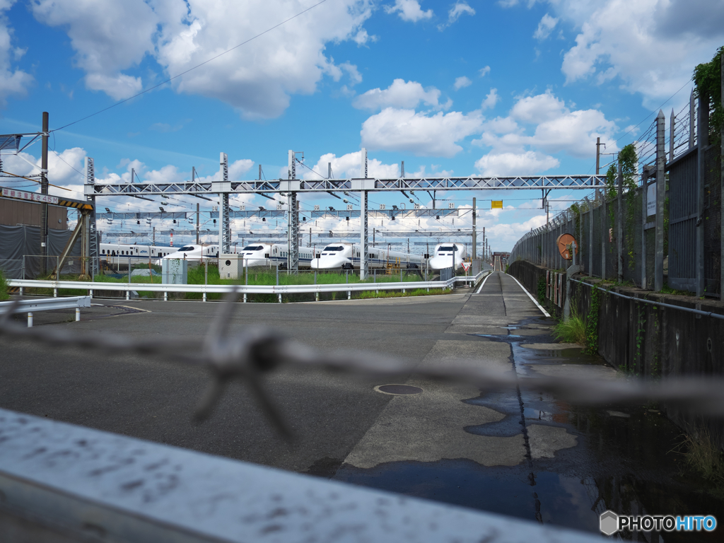 有刺鉄線の向こう側には……