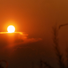 夕日