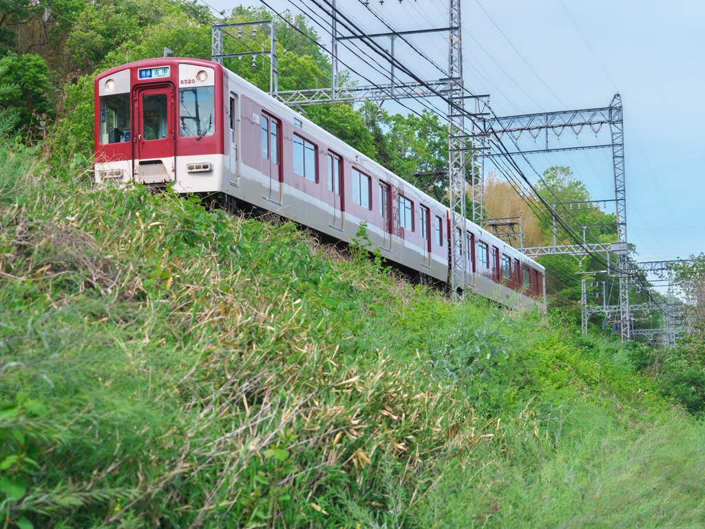 短い