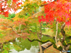 玄宮園にて Ⅲ