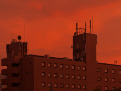 夕暮れに集う