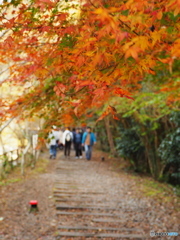 廃線跡を歩く Ⅲ