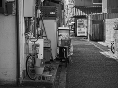 路地