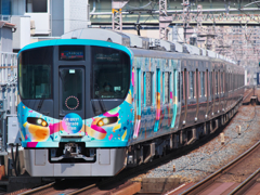 Expo Liner
