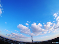 ぎょっが～～～～ん