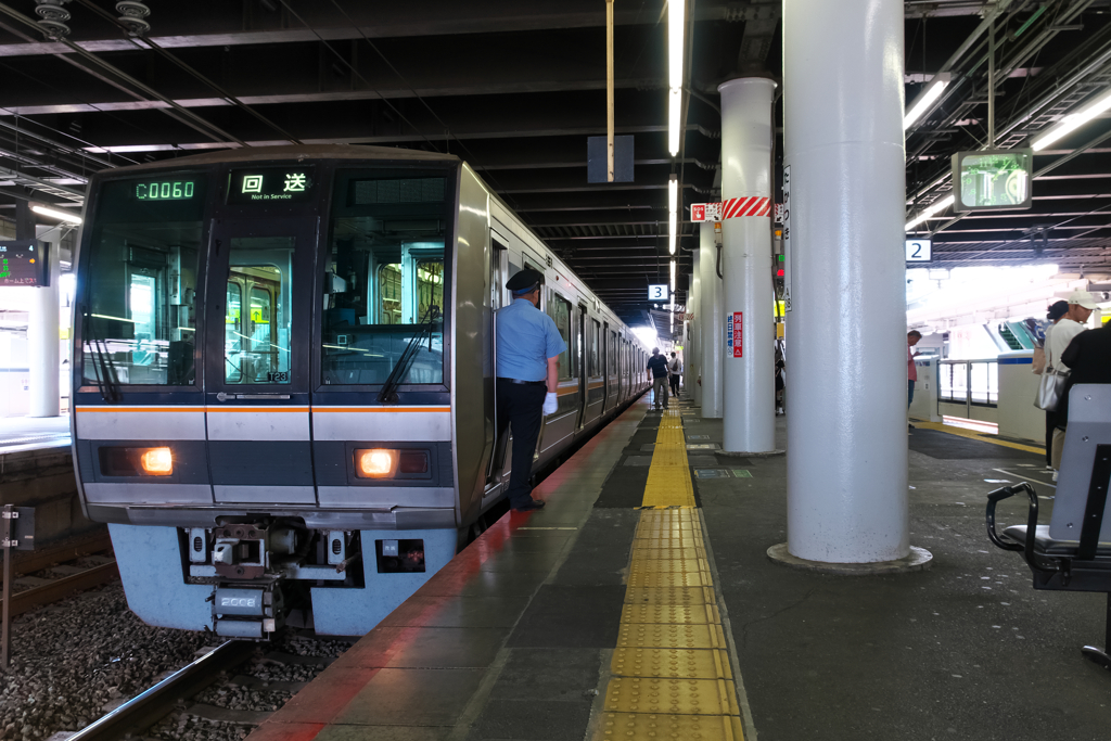 今日は……