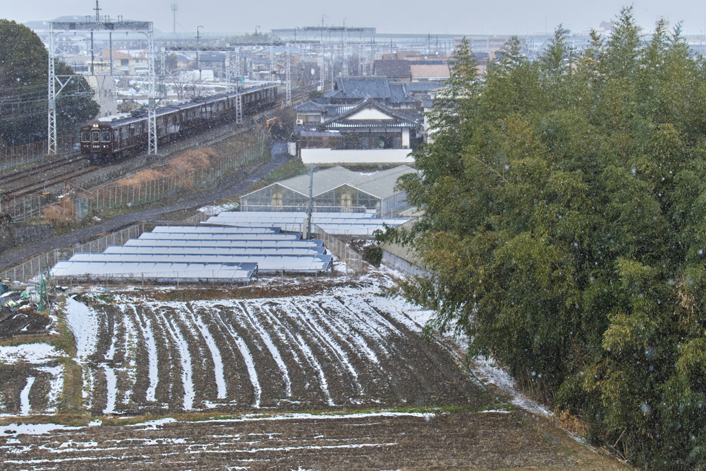 粉雪舞う