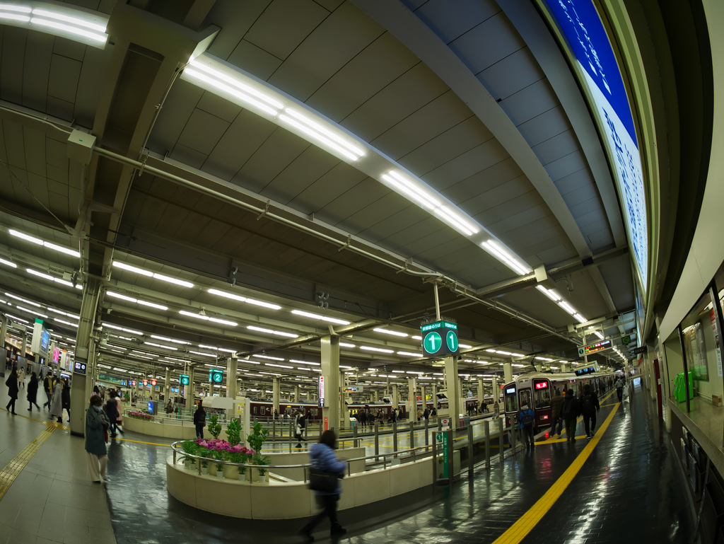 Great terminal UMEDA 2022