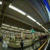 Great terminal UMEDA 2022
