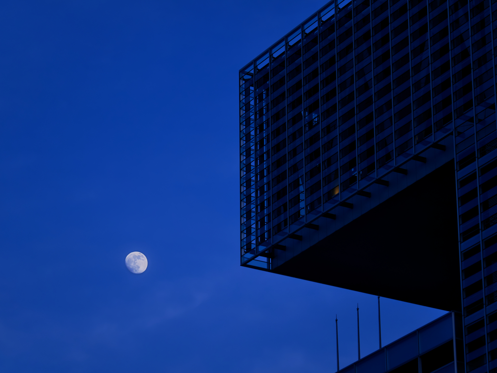 夕月