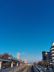 蒼天の夕月