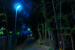 夜道