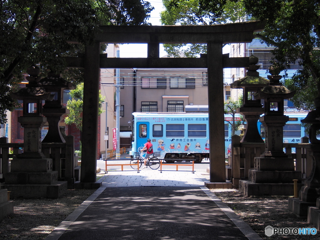 鳥居の中から