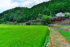 のせでんの夏 Ⅱ