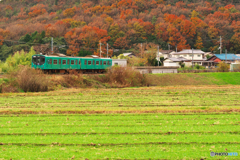 晩秋の播州