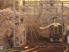 2025・マルーンの春 Ⅲ
