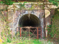 廃隧道を見つけた