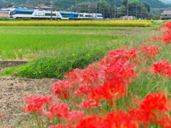 山里の秋風