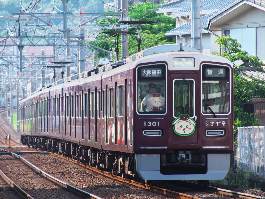 うさぎ号も走る～！