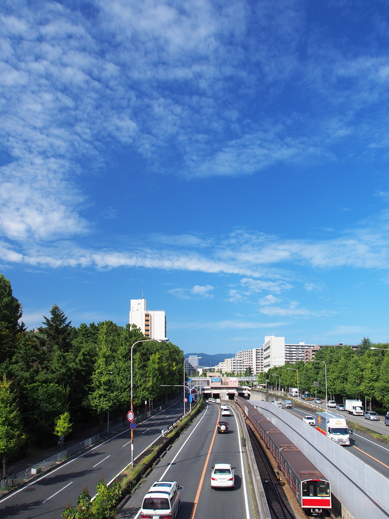待ち焦がれた青空